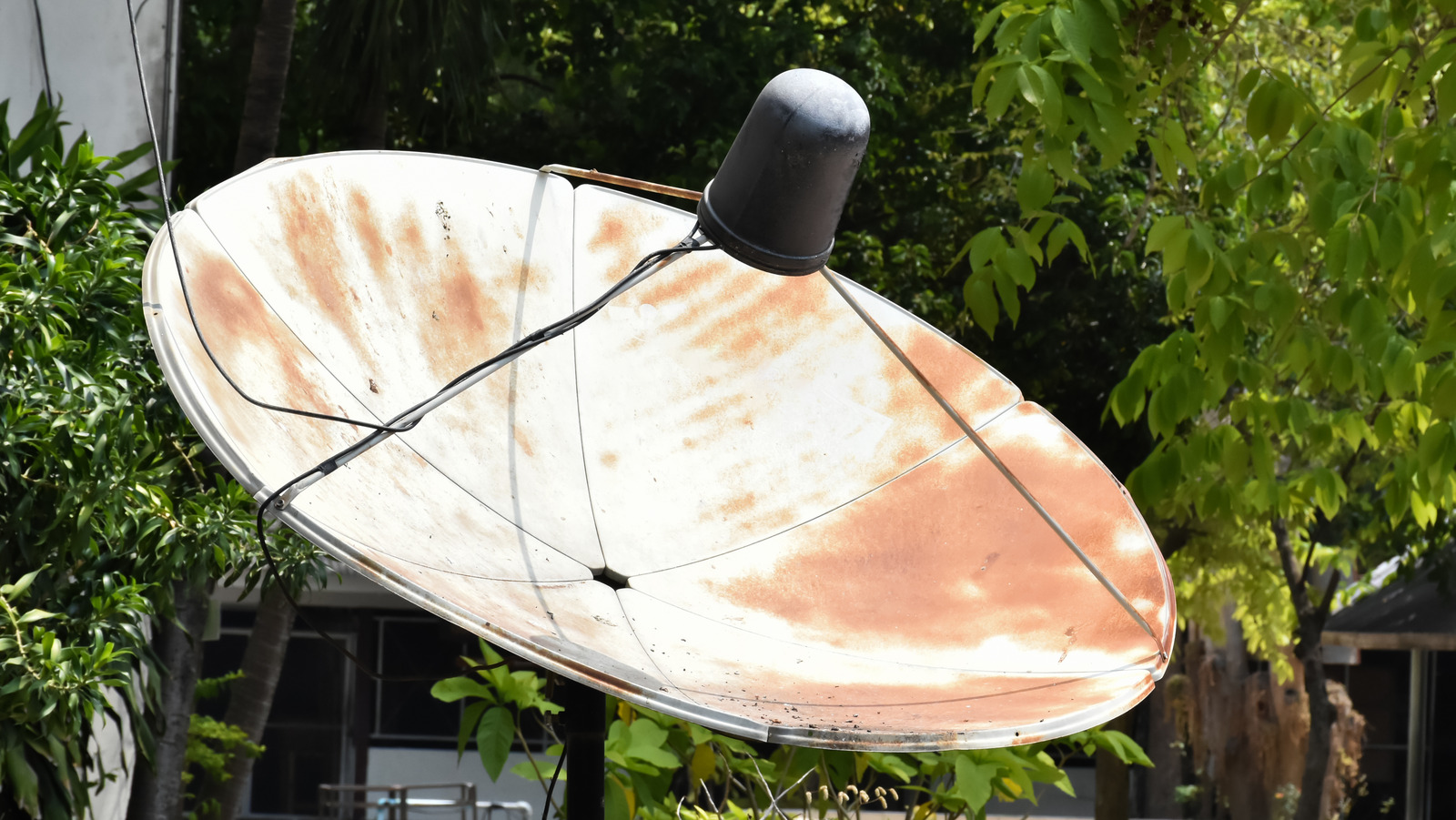 Dish Removal Systems